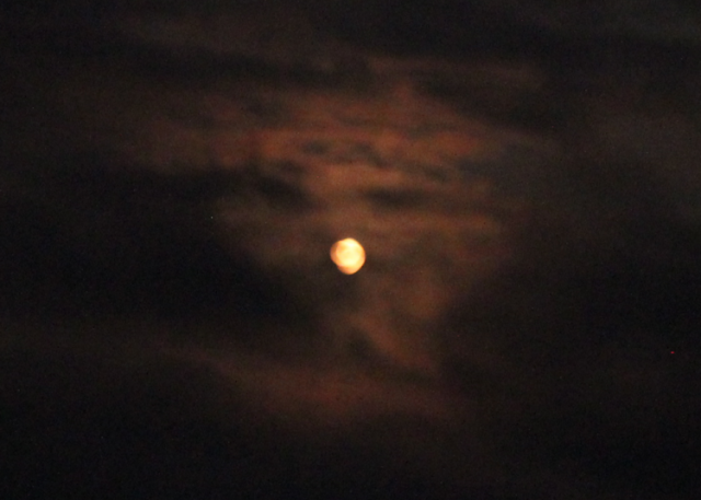Photo of Blood Moon
