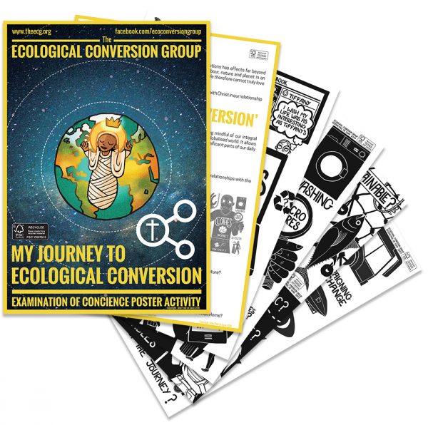product image of the ecological conversion group examination of ecological conscience poster activity set